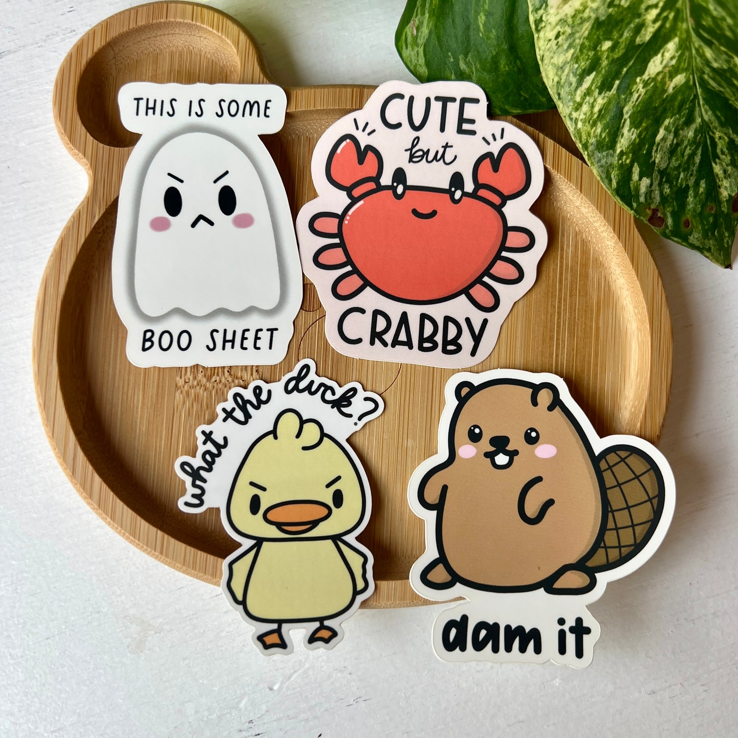 Sassy Sticker Bundle